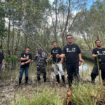 Kurangi Emisi Karbon.. GAPKI Tanam 500 Mangrove, Target 10 Ribu Batang!